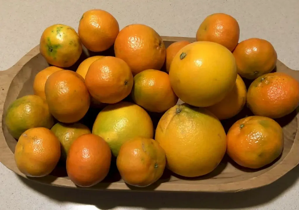 Los Impactos Saludables de la Mandarina en el Corazón y el Cerebro