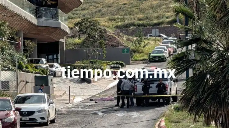 Accidente en la Plaza de Azcárraga: Un Joven en Estado Crítico Tras Caer de una Estatua