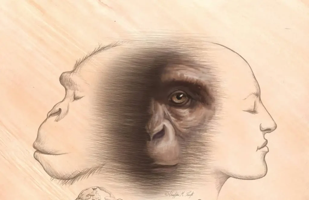 La Conexión Evolutiva entre Humanos y Chimpancés: Un Estudio Revelador