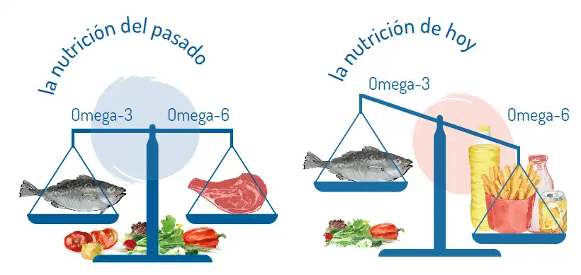 La Importancia de los Ácidos Grasos Omega-3 en la Alimentación Diaria