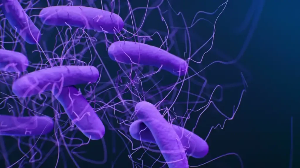 Avances en la Lucha Contra Bacterias Resistentes: El Papel de los Fagos