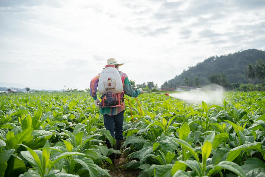 Los Peligros Ocultos de la Dieta Vegetariana: Un Análisis de los Pesticidas