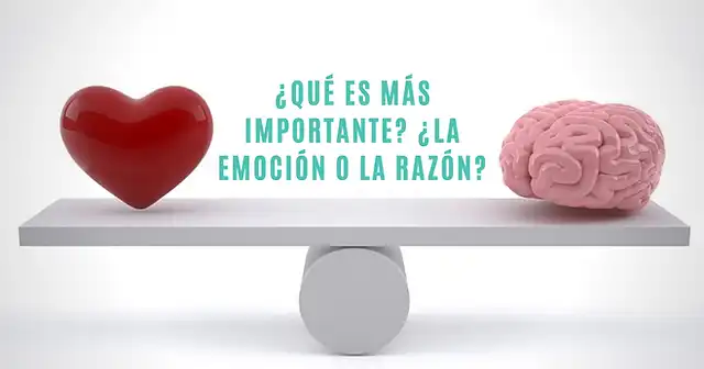 La Importancia de Reconocer la Razón en las Relaciones Humanas
