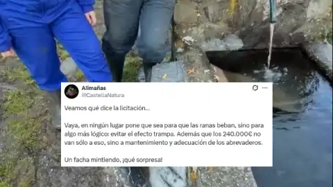 Desmontando la Desinformación: Rampas para Ranas en Castilla y León