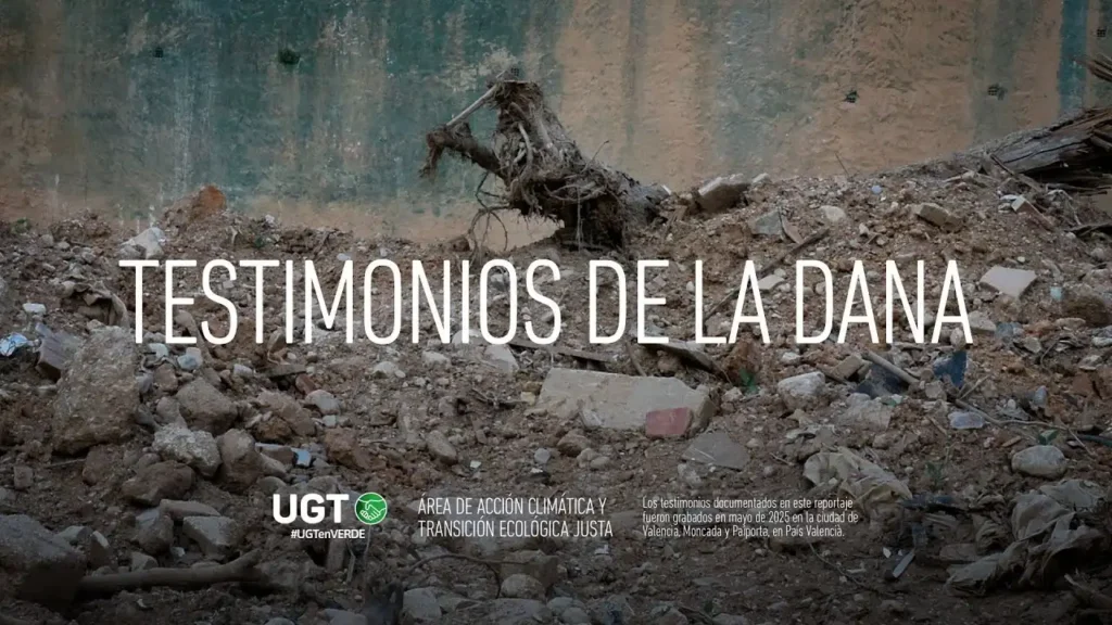 Investigación sobre la Gestión de la DANA: Testimonios Reveladores