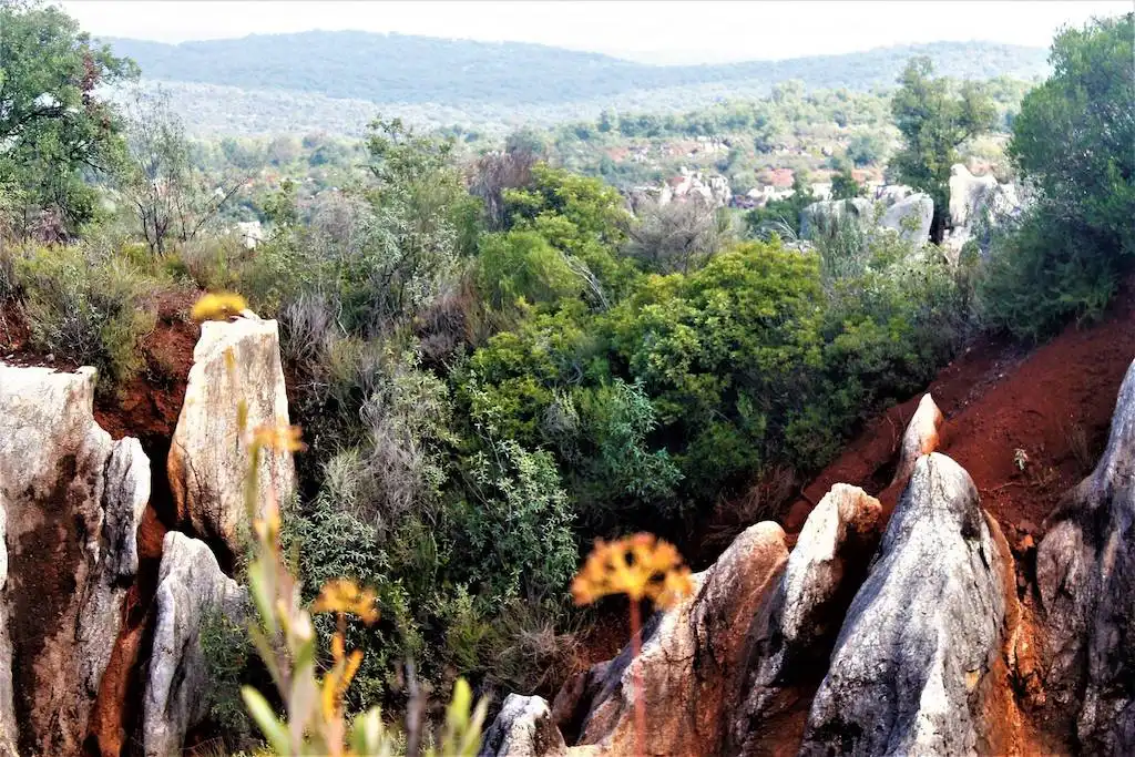 Explorando la Ruta del Rebollar: Senderismo en el Cerro del Hierro