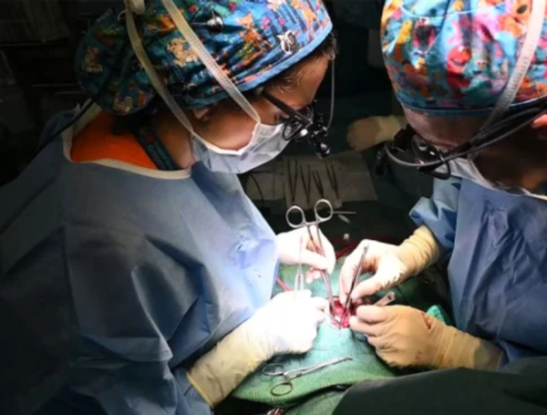 Un Avance Médico Revolucionario: El Primer Trasplante Parcial de Corazón en Europa