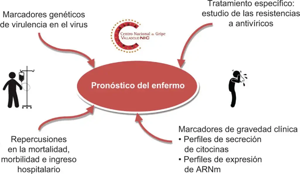 El Impacto de la Gripe en el Sistema Sanitario: Retos y Recomendaciones