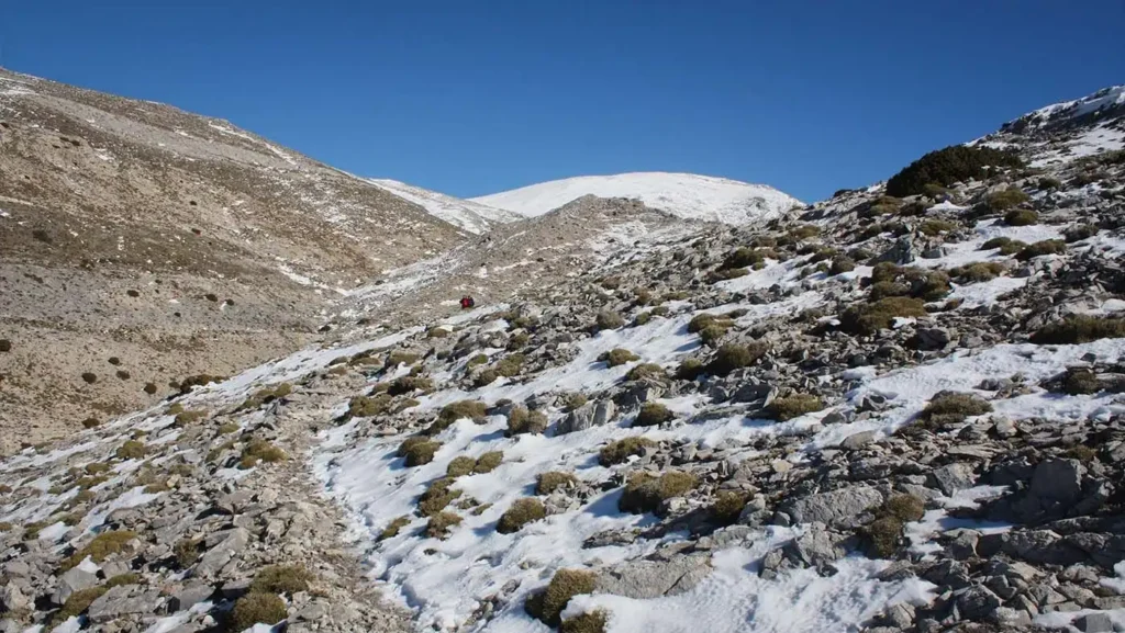 Nevadas y Frío en Málaga: Un Invierno que Sorprende
