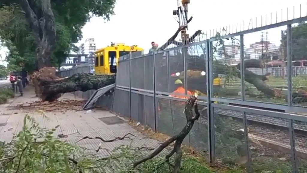 Interrupciones en el Servicio Ferroviario: Caída de Árboles y Averías Técnicas