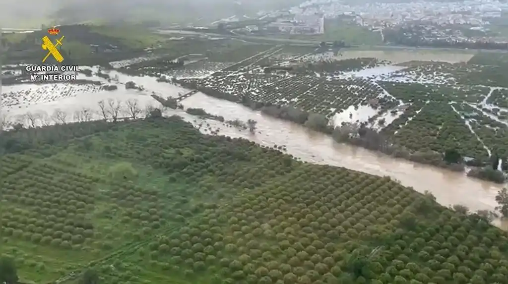 Impacto del Temporal en Málaga: Cártama y el Guadalhorce en el Epicentro de la Emergencia