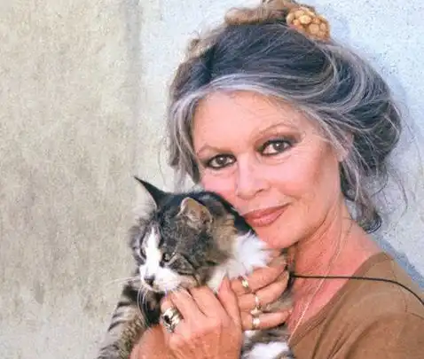 Brigitte Bardot: Un Legado Inmortal en el Cine y la Protección Animal