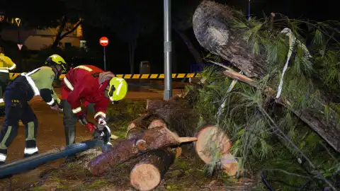 Impacto del Temporal en Málaga: Incidencias y Rescates