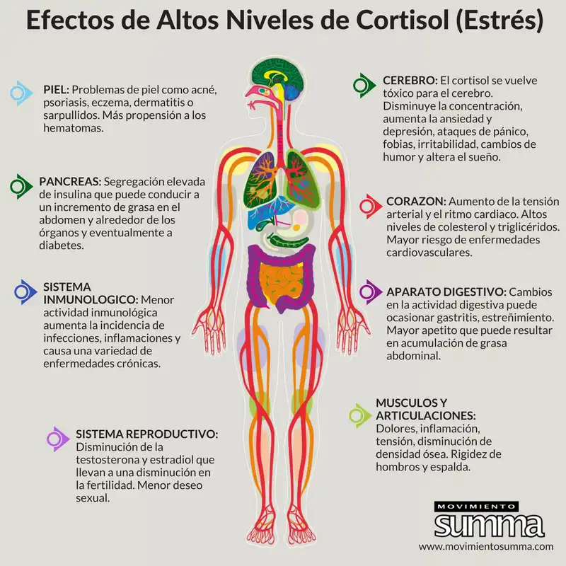 HIIT y Cortisol: Un Análisis de sus Efectos en la Salud