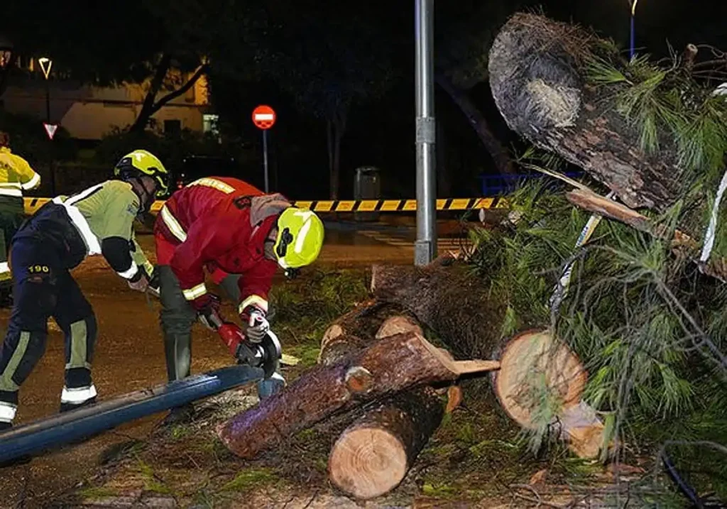 Persecución a Alta Velocidad en Málaga: Un Viaje de Peligro Bajo la Tormenta