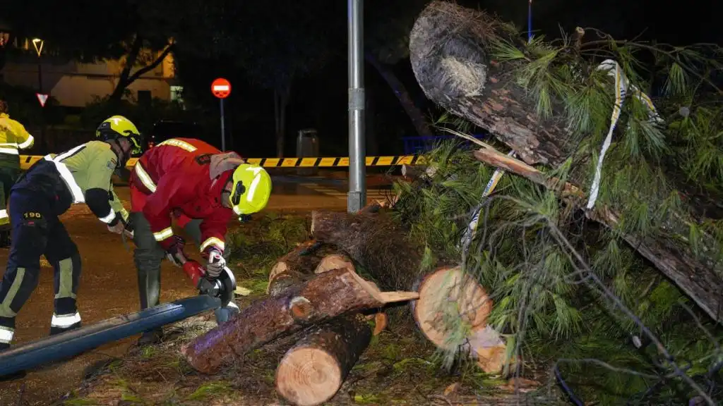 Impacto del Temporal en Málaga: Un Análisis de la Situación Actual