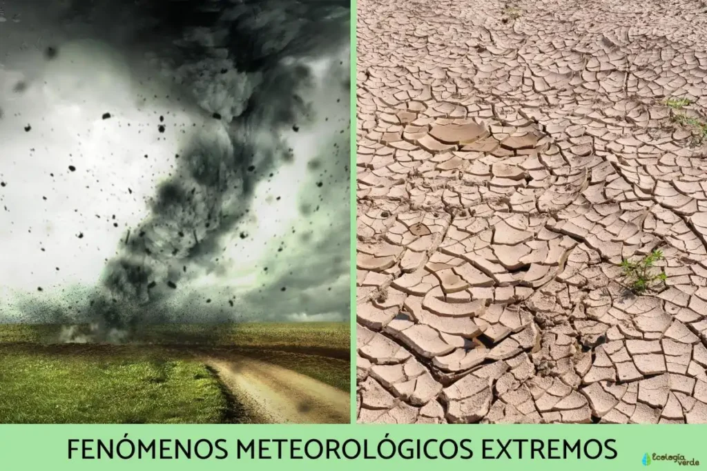 El Cambio Climático y su Impacto en Fenómenos Meteorológicos Extremos