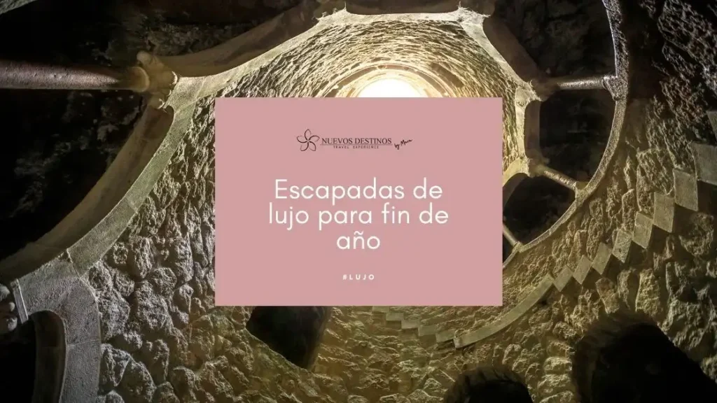 Novedades y Ofertas de Fin de Año: Lo Que No Te Puedes Perder