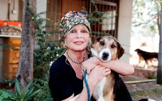 Brigitte Bardot: Un Adiós a la Leyenda del Cine y la Defensa Animal