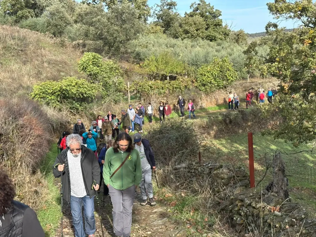 La lucha por la preservación de caminos públicos en España