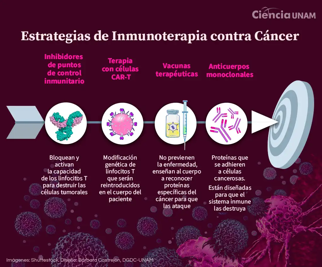 El Desafío de la Inmunoterapia en la Lucha Contra el Cáncer