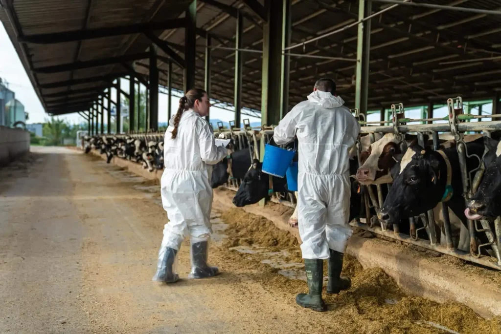 Cataluña Avanza en el Levantamiento de Restricciones Sanitarias por Brotes Ganaderos