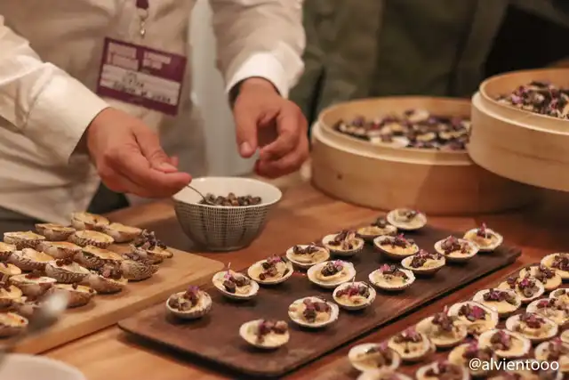 Delicias Gourmet de A Coruña: Un Viaje a los Sabores Auténticos
