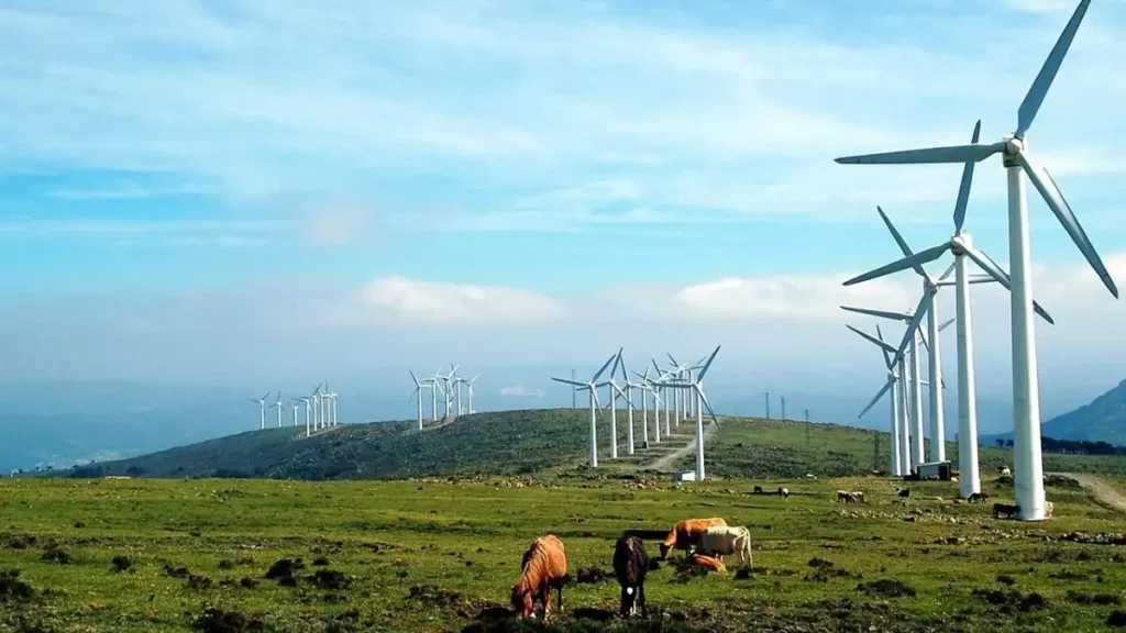 Galicia y su Potencial Eólico: Un Futuro Energético en Suspenso