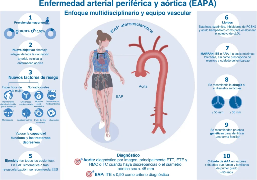 La Aorta: Comprendiendo sus Enfermedades y Opciones de Tratamiento