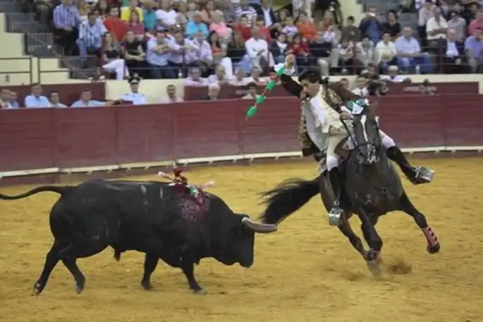 Reformas en la Ley de Infancia: Prohibición de Corridas de Toros para Menores