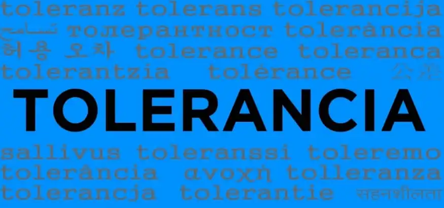 La Tolerancia y sus Consecuencias en la Política Española