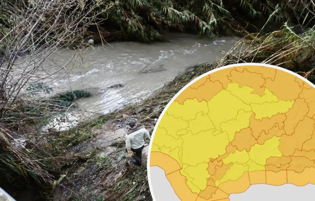Impacto de la Borrasca Kristin en Málaga: Incidencias y Medidas de Emergencia