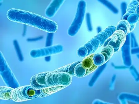 El Aliento como Indicador de la Salud Intestinal: Un Avance Científico Revelador
