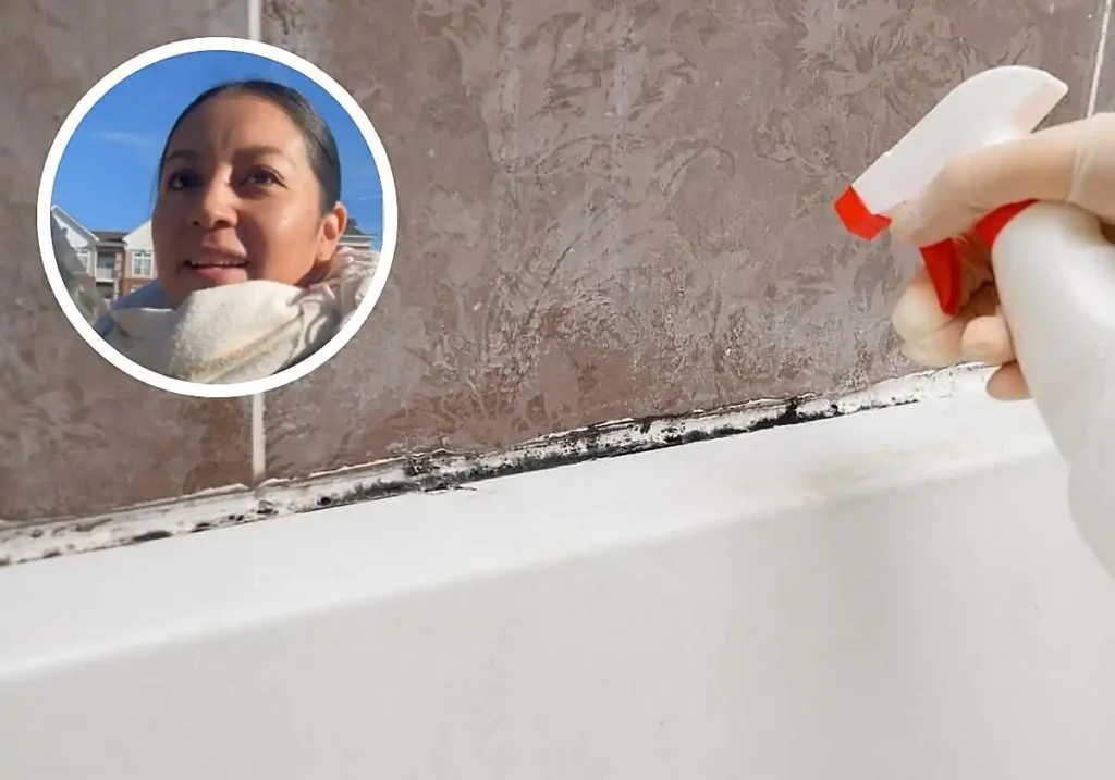 Cómo Manejar el Moho en el Baño: Consejos de una Experta en Limpieza