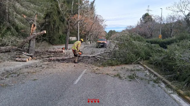 Condiciones Adversas en las Carreteras de Catalunya: Vientos Fuertes y Cortes de Tráfico