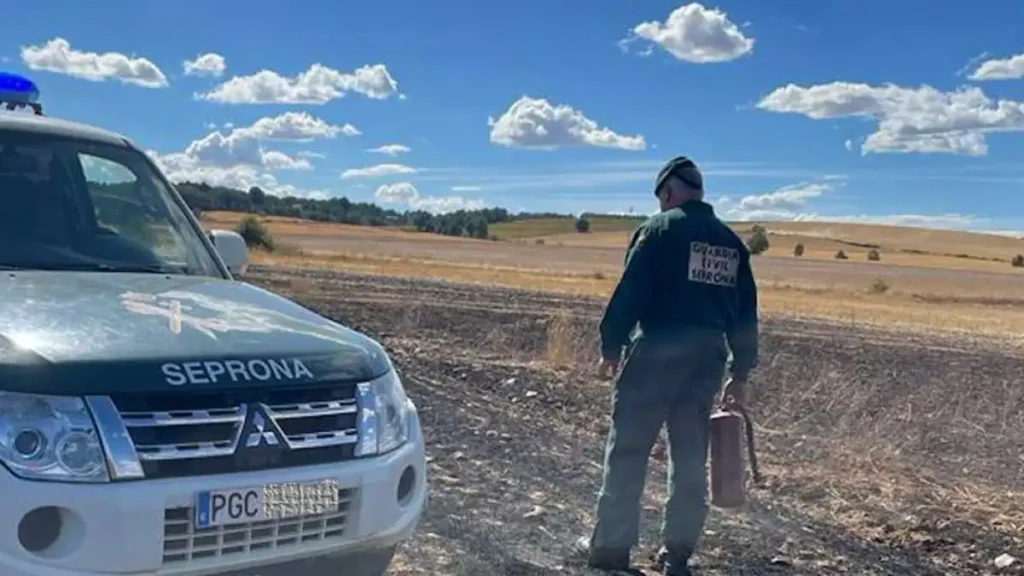La Expulsión de un Guardia Civil: Un Caso de Violencia de Género y Justicia