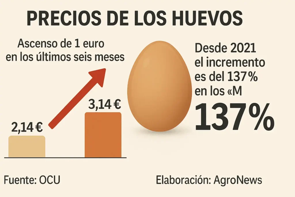 El Aumento de Precios de los Huevos: Causas y Consecuencias en la Alimentación Española