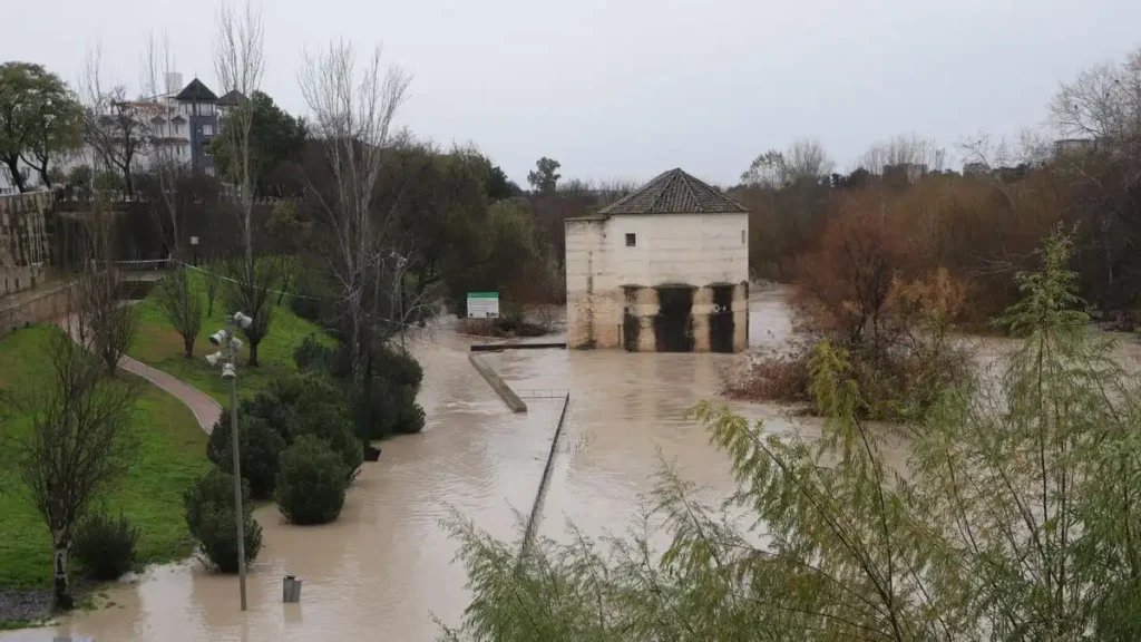 Impacto de la Borrasca Leonardo en Andalucía: Lluvias y Emergencias