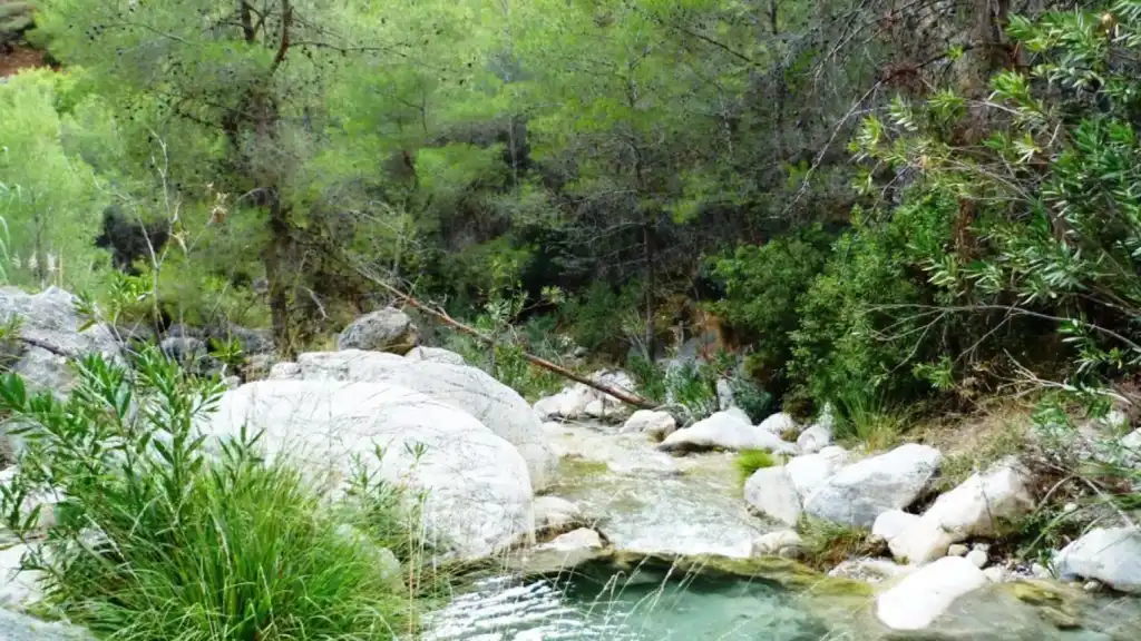 Regulación del Acceso al Río Chíllar: Un Paso Hacia la Sostenibilidad