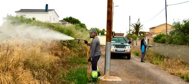 Estrategias Efectivas para el Control de Mosquitos en Castellón