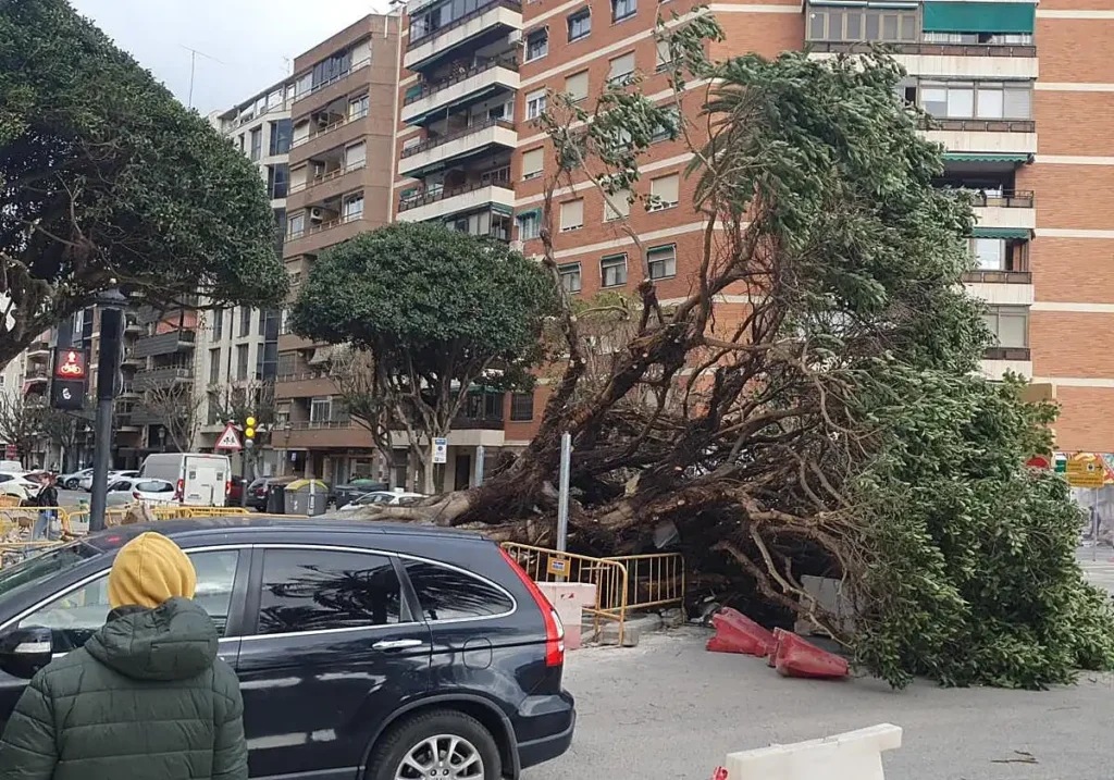 Impacto de la Borrasca Leonardo: Vientos Fuertes y Consecuencias en Valencia