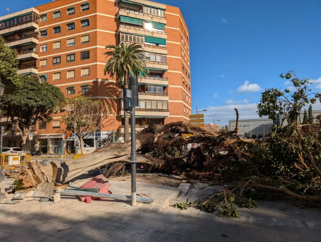 Impacto de la Borrasca Leonardo en Valencia: Vientos Desgarradores y Consecuencias