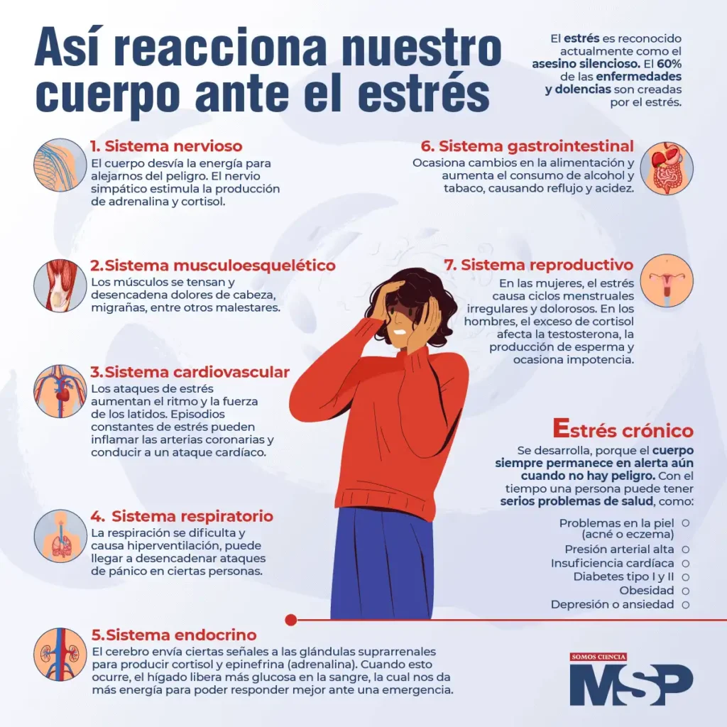 Impacto del Estrés en la Salud: Síntomas y Consecuencias