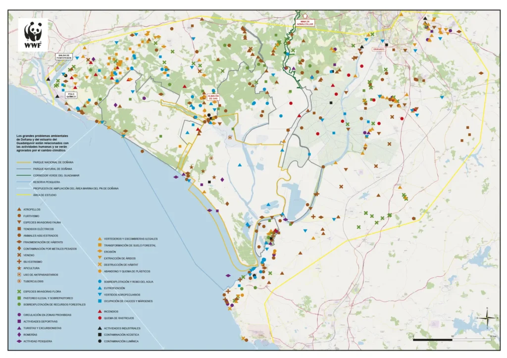 Desafíos Ambientales en Doñana: Un Análisis de la Biodiversidad Acuática