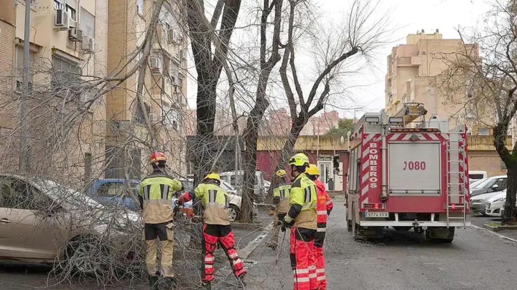 Impacto de las Borrascas en Málaga: Desafíos y Respuestas Comunitarias
