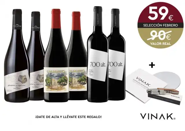 Explorando Vinos de Altura: Un Recorrido por Ribeira Sacra, Toro y Somontano