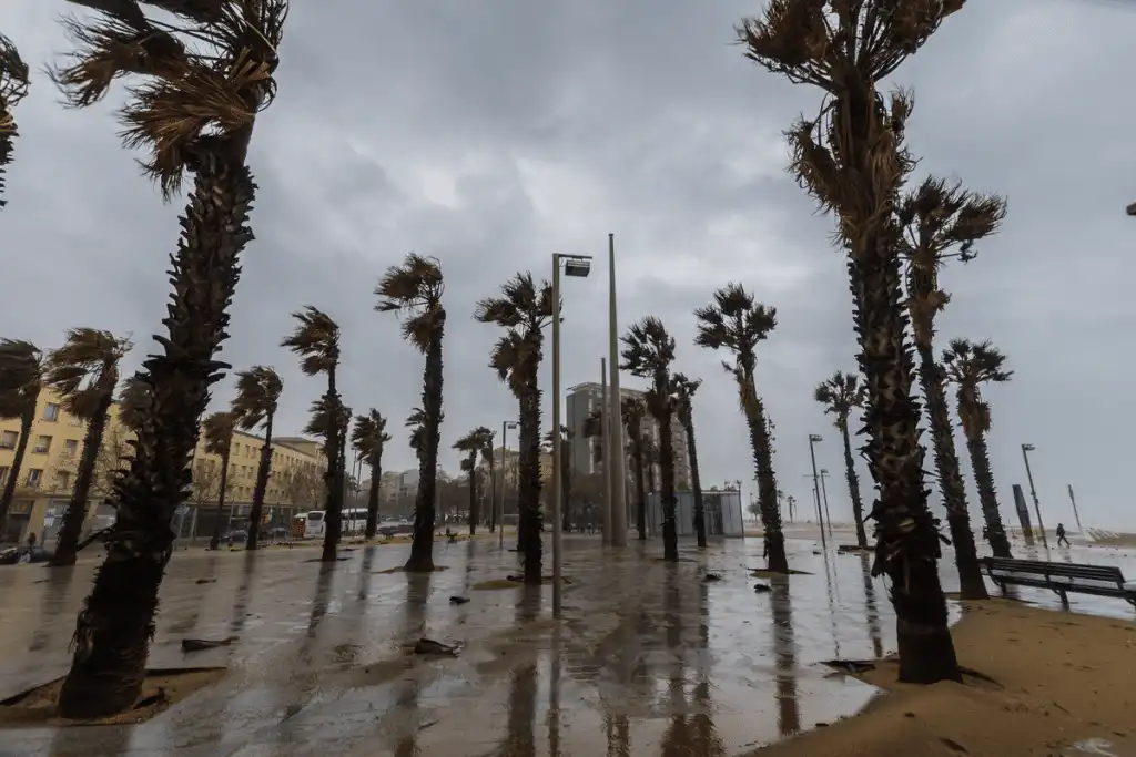 Desastres Naturales: El Impacto del Viento en Barcelona y sus Alrededores