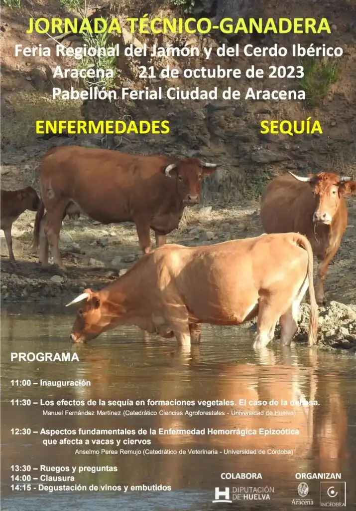 Servicios de sustitución ganadera en Galicia: ¿cómo funcionan y por qué están transformando el sector lácteo?