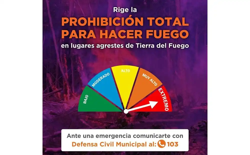 Turistas en México: ¿Qué hacer ante disparos y fuego en zonas turísticas?