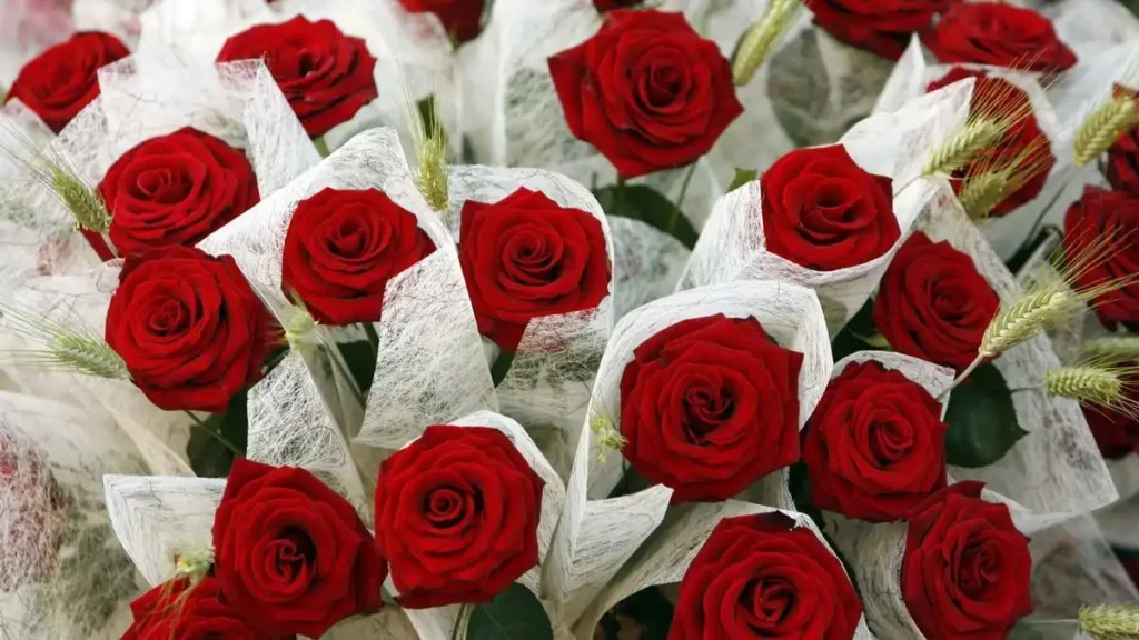 Sant Jordi 2026 en Barcelona: mapa, paradas de libros y rosas, y novedades clave